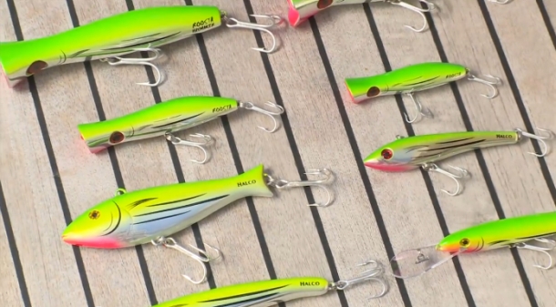 The T-Curve Revolution Bluewater Travel LT Spin 703 matched up with a Saragosa SW 5000 spinning reel proved the ideal set up for casting lures to medium-sized pelagics such as this Kimberley queenfish.